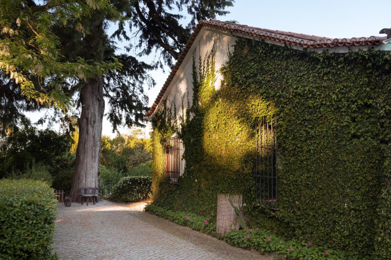 Imani Country House Évora Exteriér fotografie